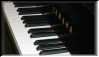 And the piano stood still...Why?  Didn't I tell you it was a wind orchestra?